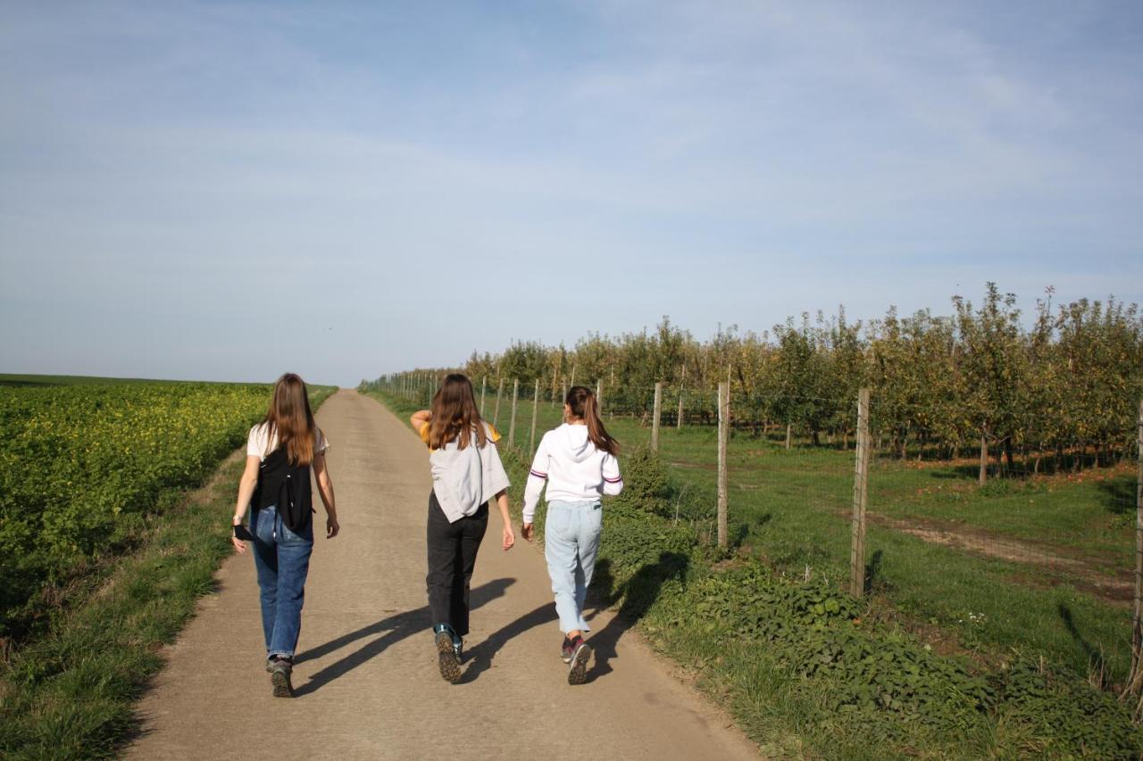 Hoeve Jadoul Gingelom Dış mekan fotoğraf